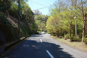 宇佐美みのりの村・売り土地(立木伐採済み)|幅約7m前面道路 宇佐美みのりの村・売り土地(立木伐採済み)|幅約7m前面道路