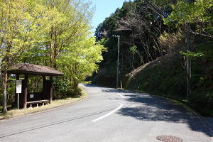 宇佐美みのりの村・売り土地(立木伐採済み)|目の前にバス停 宇佐美みのりの村・売り土地(立木伐採済み)|目の前にバス停