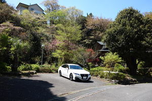 宇佐美みのりの村・売り土地(立木伐採済み)|隣地ンP分譲地緑地公園 宇佐美みのりの村・売り土地(立木伐採済み)|隣地ンP分譲地緑地公園