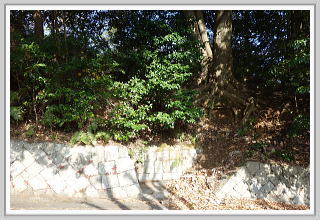 �F�����݂̂�̑��E����y�n�b�O��