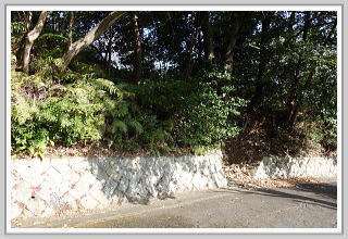 �F�����݂̂�̑��E����y�n�b�O��