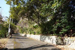 宇佐美みのりの村・売り土地|外観 宇佐美みのりの村・売り土地|外観