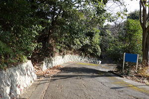 宇佐美みのりの村・売り土地|前面道路 宇佐美みのりの村・売り土地|前面道路