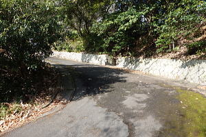 宇佐美みのりの村・売り土地|前面道路 宇佐美みのりの村・売り土地|前面道路