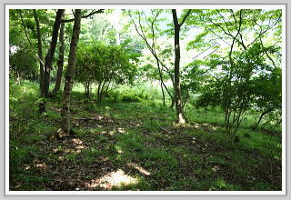 �F�����݂̂�̑��E���ʓ��H�̔���y�n�b�ɂ₩�ȌX�Βn�ł�