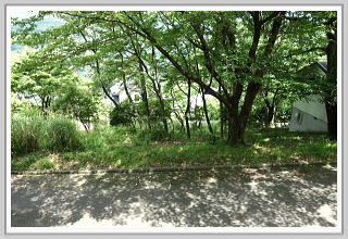 �F�����݂̂�̑��E���ʓ��H�̔���y�n�b�O��