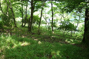 宇佐美みのりの村・両面道路の売り土地|歩いて上り下りできます 宇佐美みのりの村・両面道路の売り土地|歩いて上り下りできます