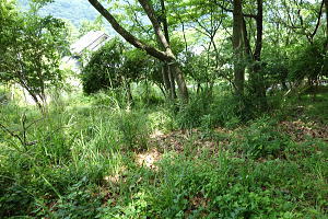 宇佐美みのりの村・両面道路の売り土地|陽当りも悪くありません 宇佐美みのりの村・両面道路の売り土地|陽当りも悪くありません