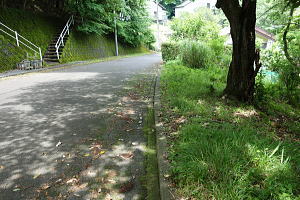 宇佐美みのりの村・両面道路の売り土地|南側道路からフラットに入れます 宇佐美みのりの村・両面面道路の売り土地|南側道路からフラットに入れます