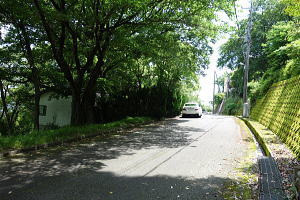 宇佐美みのりの村・両面面道路の売り土地|南側道路 宇佐美みのりの村・両面面道路の売り土地|南側道路