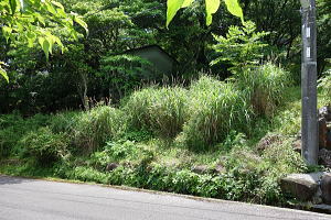 宇佐美みのりの村・両面道路の売り土地|北西側道路からは高低差があります 宇佐美みのりの村・両面面道路の売り土地|北西側道路からは高低差があります