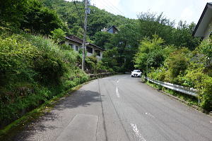 宇佐美みのりの村・両面面道路の売り土地|北西側道路 宇佐美みのりの村・両面面道路の売り土地|北西側道路