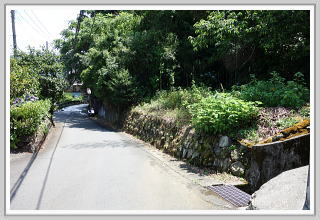 �i�q�F�����w�k��9���E����y�n�b���H���獂��̓y�n