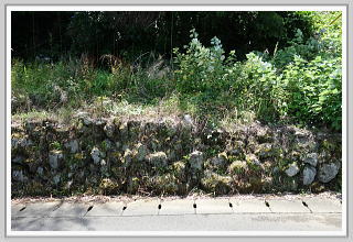 �i�q�F�����w�k��9���E����y�n