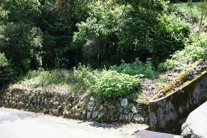 JR宇佐美駅徒歩9分・売り土地|高台の背後は上り傾斜地 JR宇佐美駅徒歩9分・売り土地|高台の背後は上り傾斜地