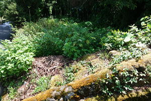 JR宇佐美駅徒歩9分・売り土地|やや平らな部分があります JR宇佐美駅徒歩9分・売り土地|やや平らな部分があります