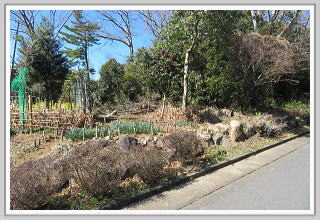 �F�����݂̂�̑��b�z����ǍD�Ȕ���y�n